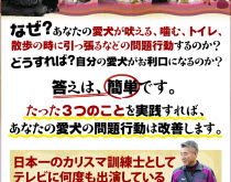 ドッグトレーナー藤井聡が教える犬のしつけ教室