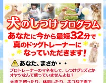 堀川春広の本質の犬のしつけプログラム