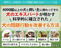 犬のしつけ革命〜科学的に確立された犬の問題行動を改善する方法〜